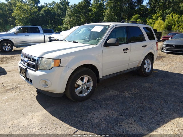 Ford Escape Xlt
