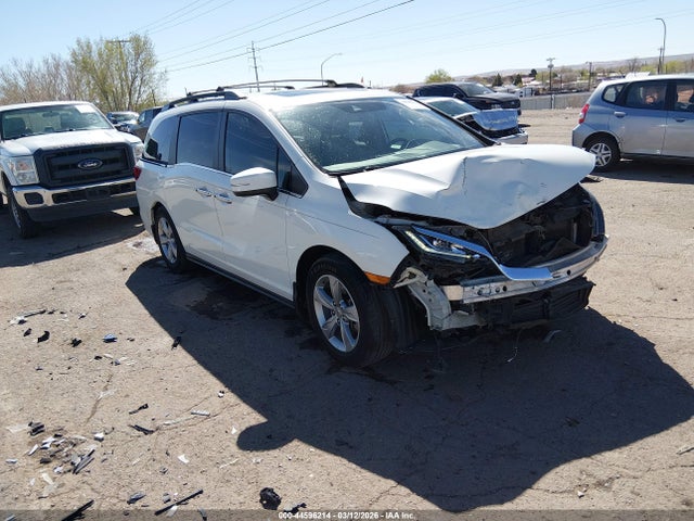Salvage Honda Odyssey Image