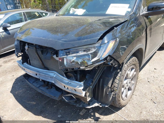 Honda Passport Awd Trailsport