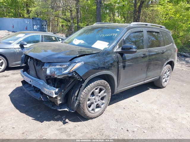 Honda Passport Awd Trailsport