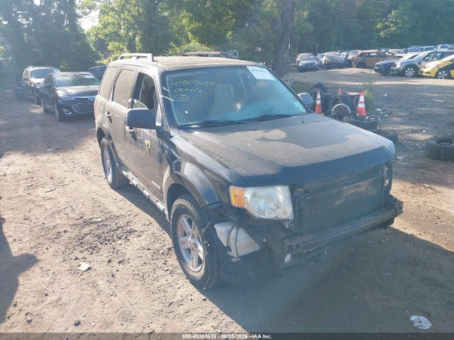 Salvage Ford Escape Image