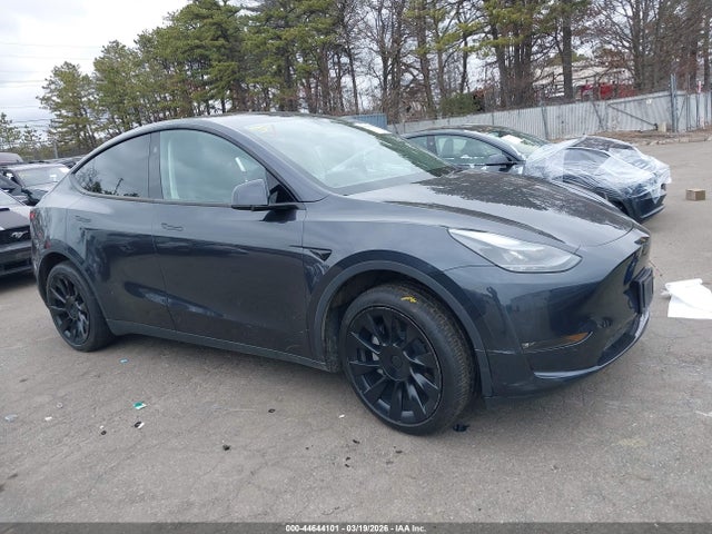 Salvage Tesla Model Y Image