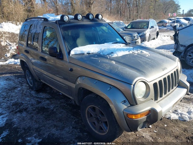 Jeep Liberty Renegade