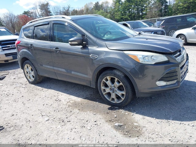 Salvage Ford Escape Image