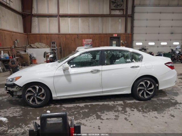 Honda Accord Ex-l