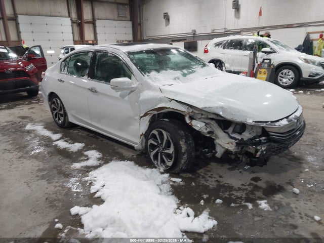 Salvage Honda Accord Image