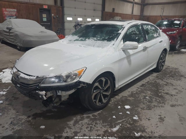 Honda Accord Ex-l