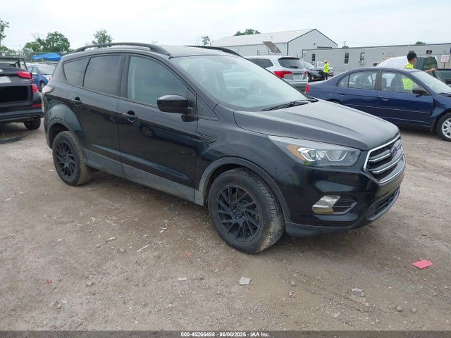 Salvage Ford Escape Image