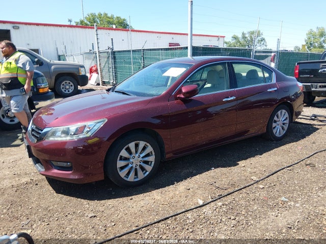 Honda Accord Ex-l V-6