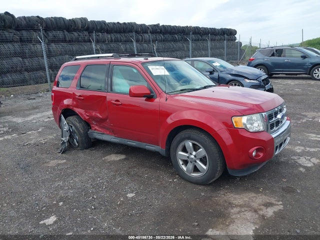 Salvage Ford Escape Image