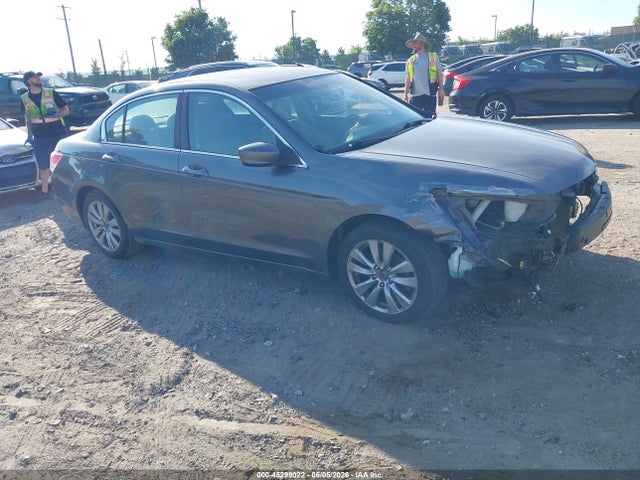 Salvage Honda Accord Image