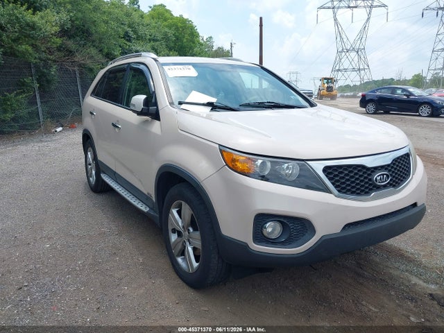 Salvage Kia Sorento Image