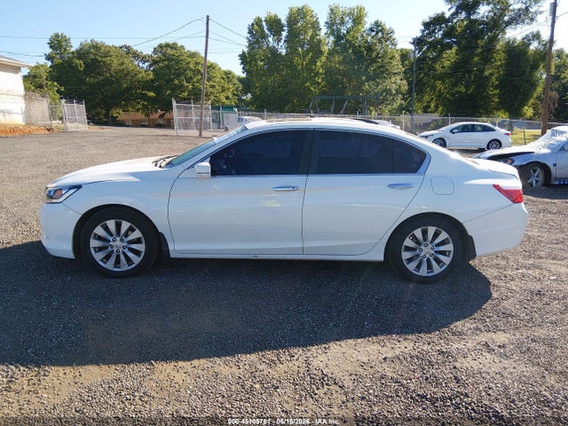 Honda Accord Ex-l