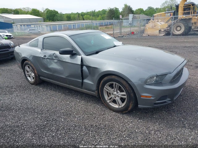 Salvage Ford Mustang Image
