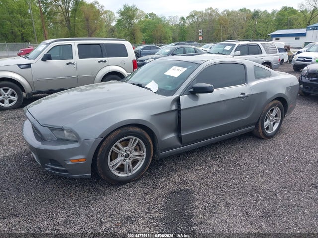 Ford Mustang V6