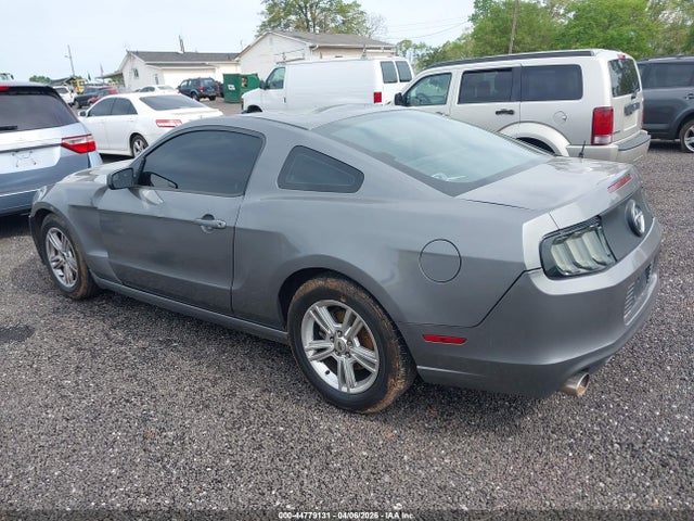 Ford Mustang V6