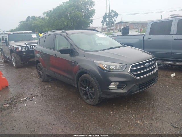 Salvage Ford Escape Image