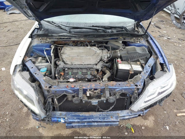 Honda Accord Ex-l V-6