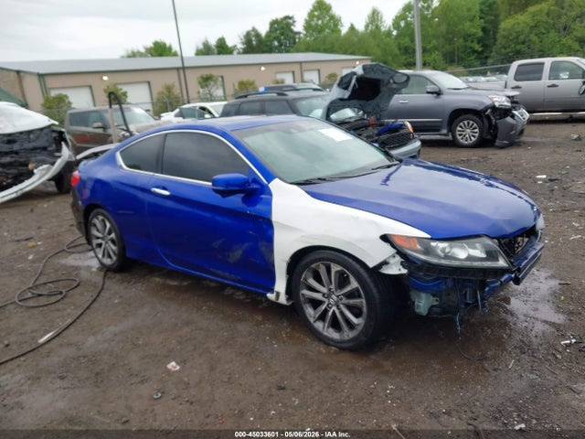 Salvage Honda Accord Image