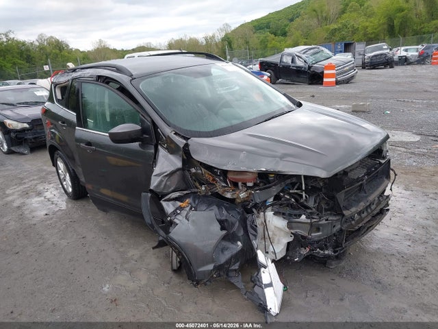 Salvage Ford Escape Image