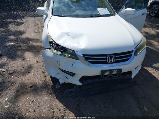 Honda Accord Ex-l V-6