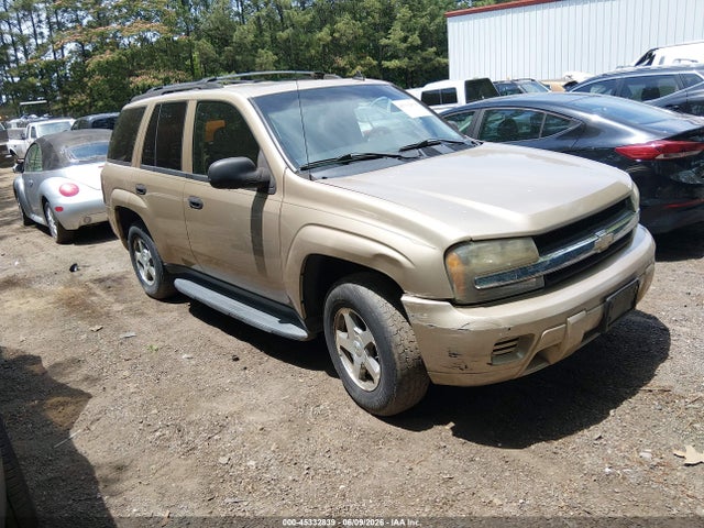 Salvage Chevrolet Trailblazer Image