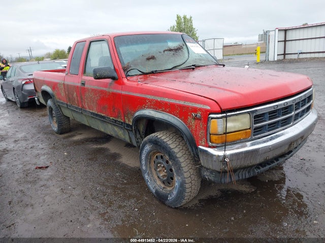 Salvage Dodge Dakota Image