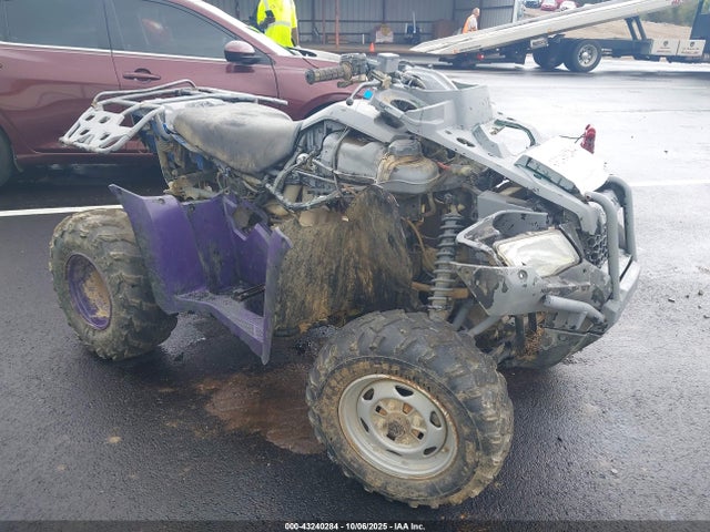 Salvage Honda Trx420 Image