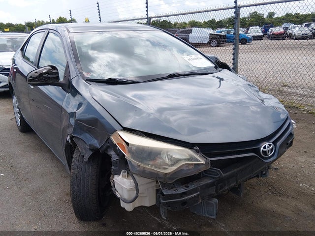 Salvage Toyota Corolla Image