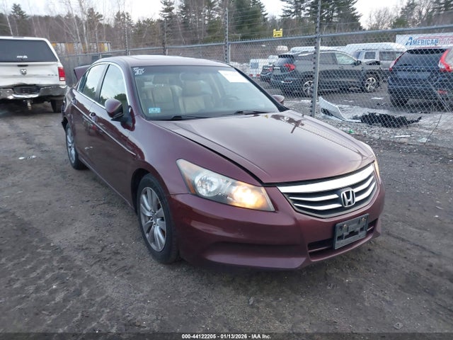 Salvage Honda Accord Image