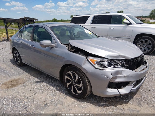Salvage Honda Accord Image