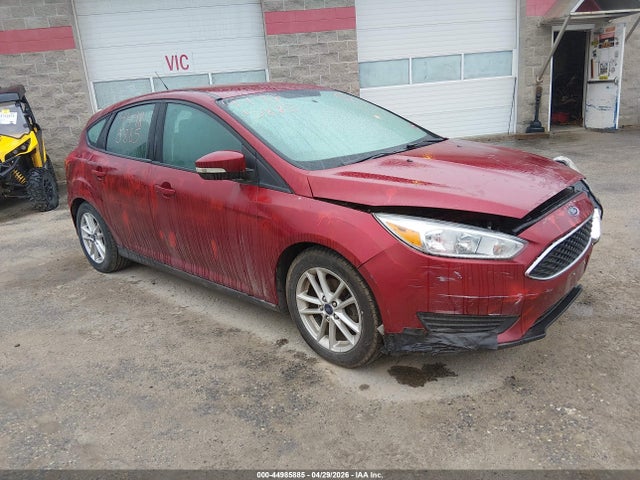Salvage Ford Focus Image