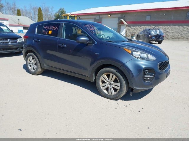 Salvage Kia Sportage Image