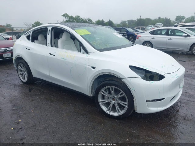 Salvage Tesla Model Y Image