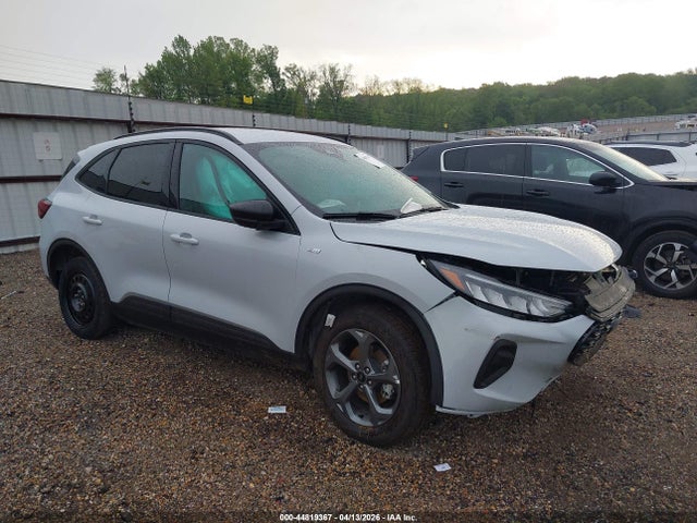 Salvage Ford Escape Image