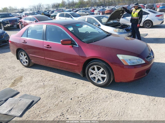 Salvage Honda Accord Image
