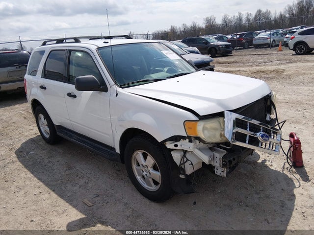 Salvage Ford Escape Image