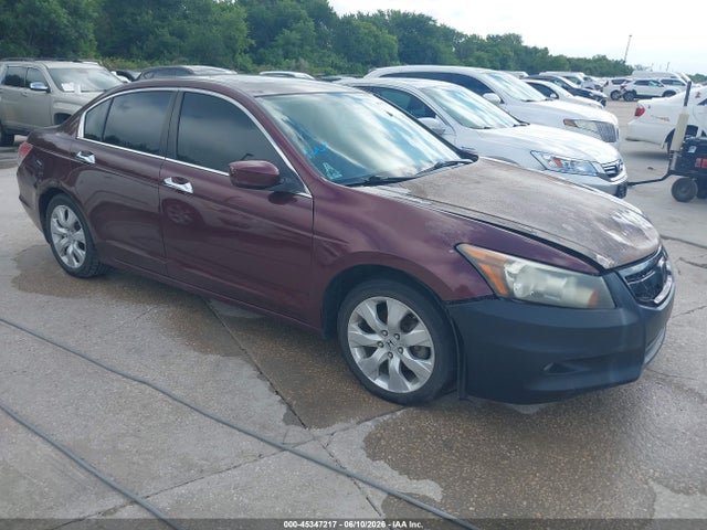 Salvage Honda Accord Image