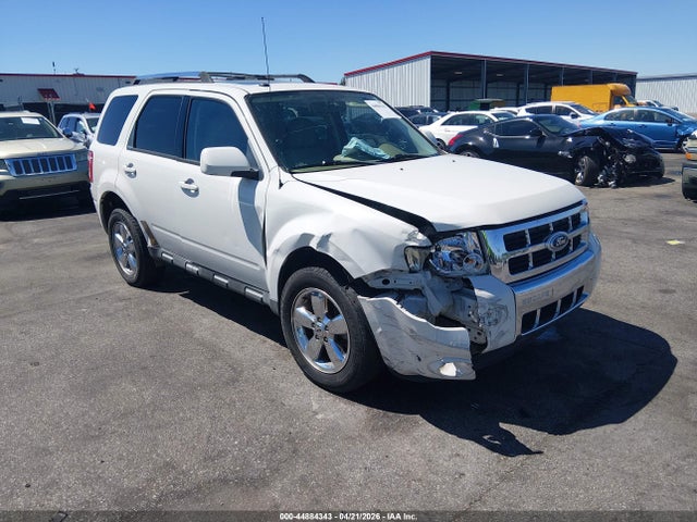 Salvage Ford Escape Image
