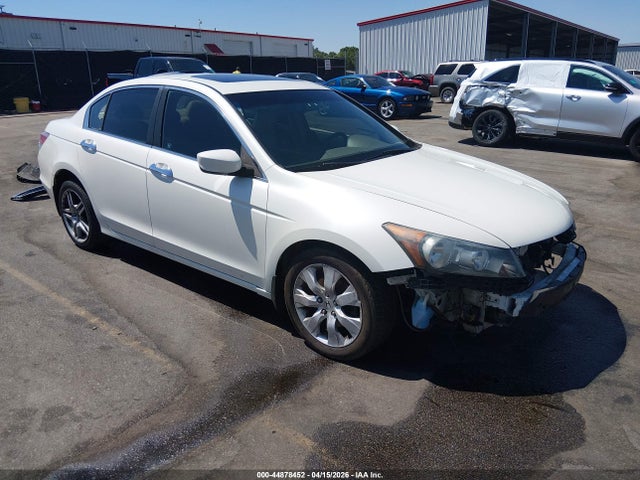 Salvage Honda Accord Image