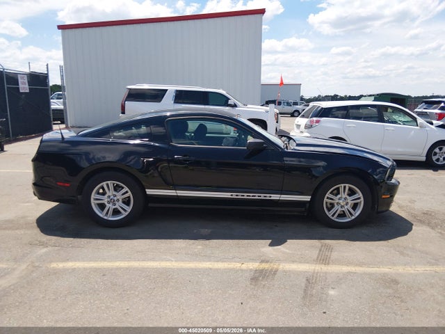 Ford Mustang V6
