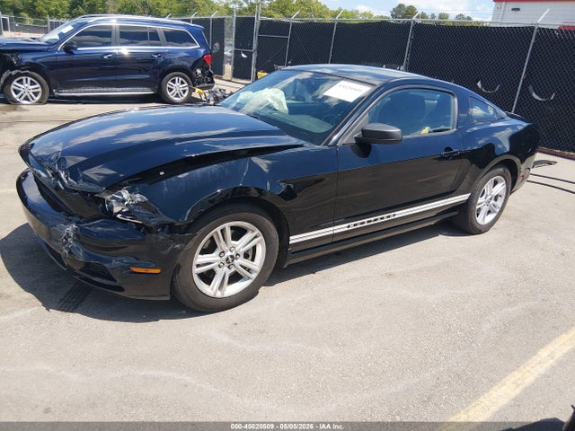 Ford Mustang V6