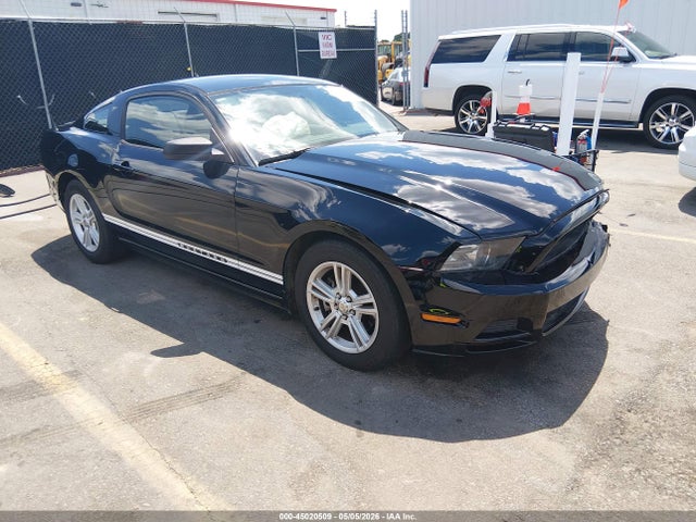 Salvage Ford Mustang Image