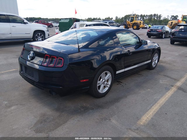 Ford Mustang V6