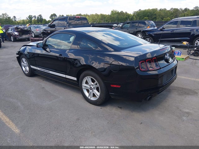 Ford Mustang V6