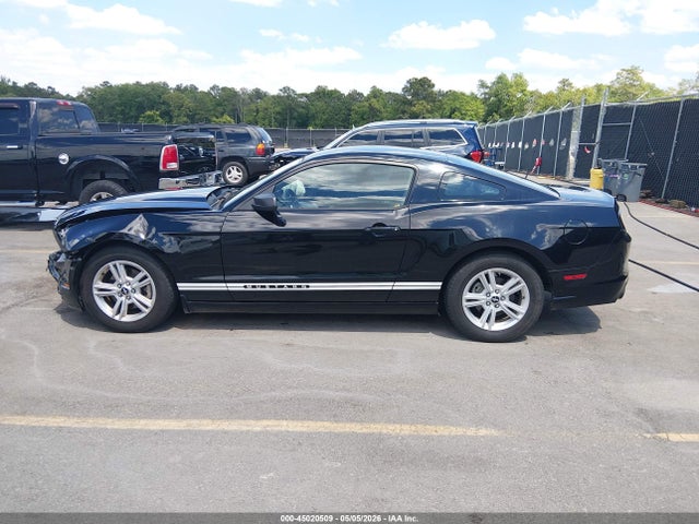 Ford Mustang V6