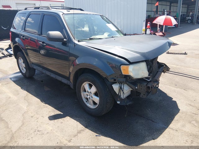 Salvage Ford Escape Image