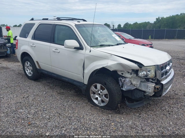Salvage Ford Escape Image