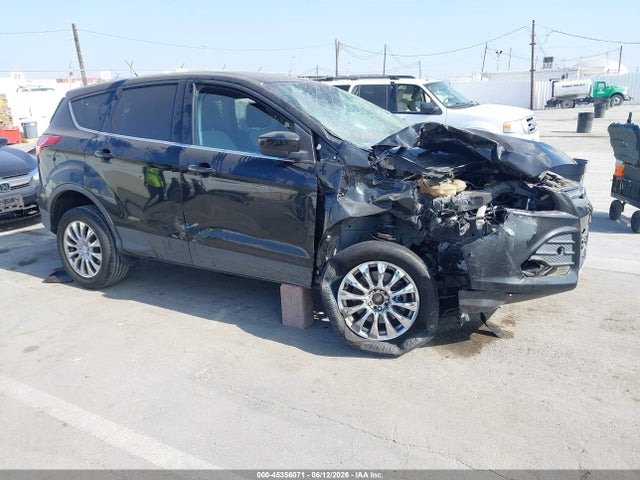 Salvage Ford Escape Image