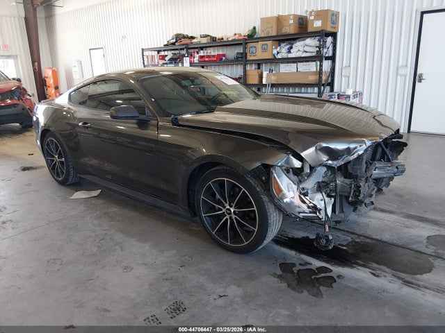 Salvage Ford Mustang Image